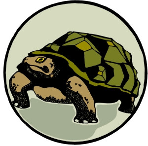 tortoise (1).jpg